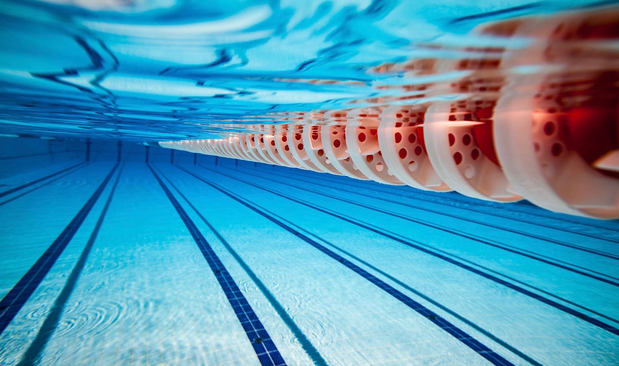 An underwater view of a lane in a swimming pool.